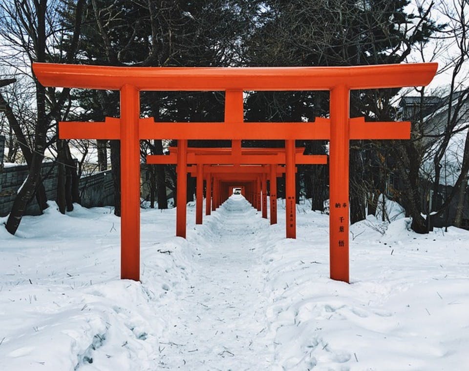 北海道　冬の神社　鳥居