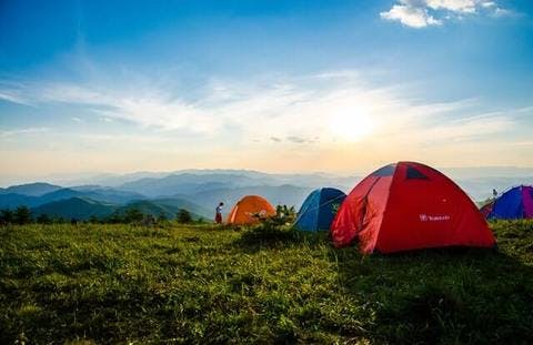 Medium adventure camping grass 1687845  1 