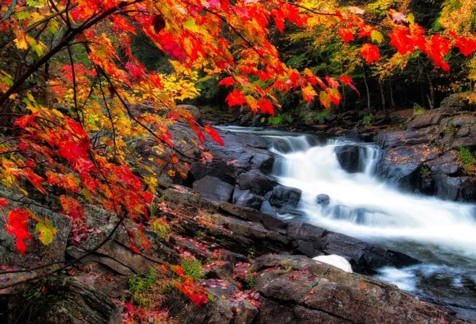 関西の秋の滝