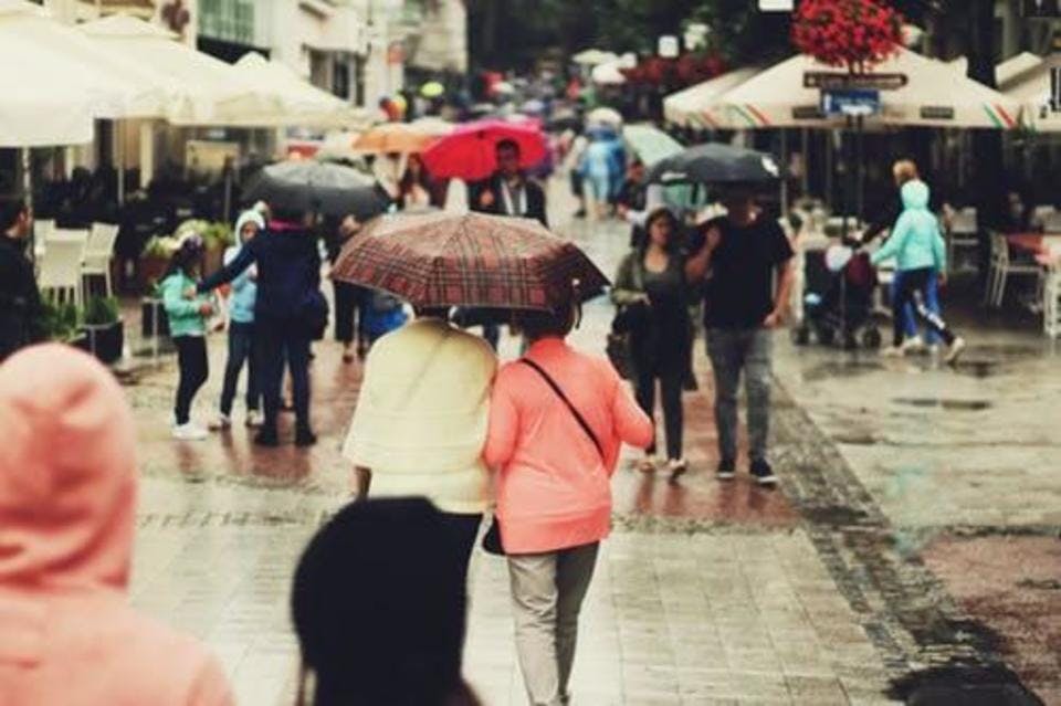 ダイソーの傘が人気の理由