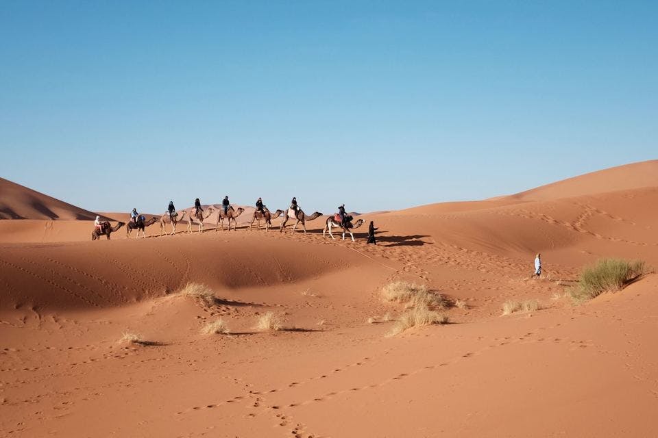 カタール砂漠