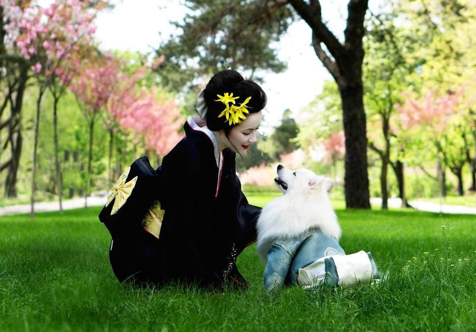 犬にも優しい日本美人
