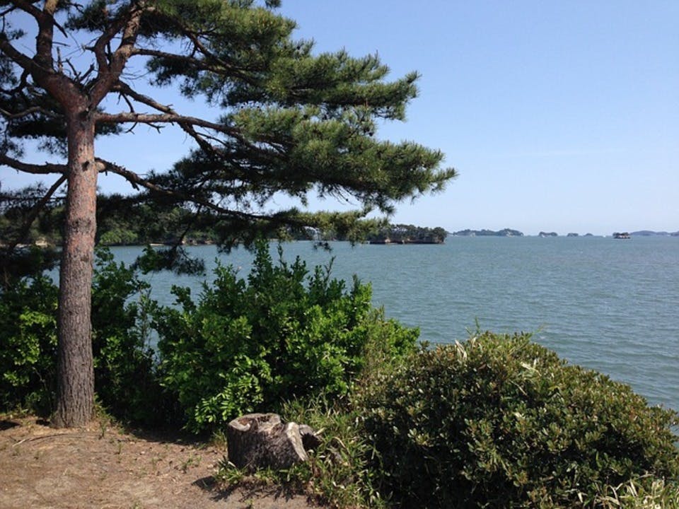 松島の絶景