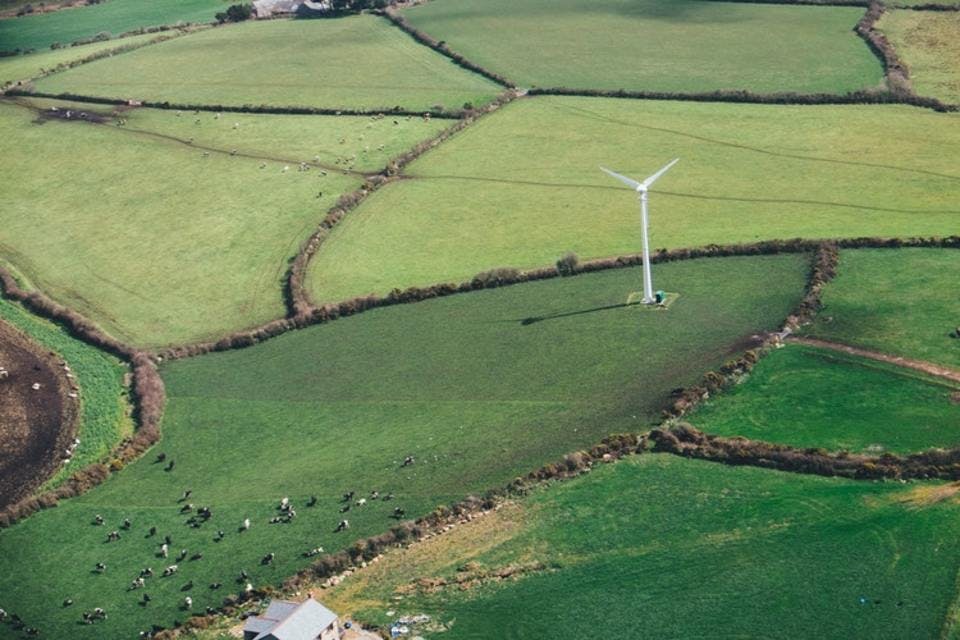 田園に映える八重風車の作り方