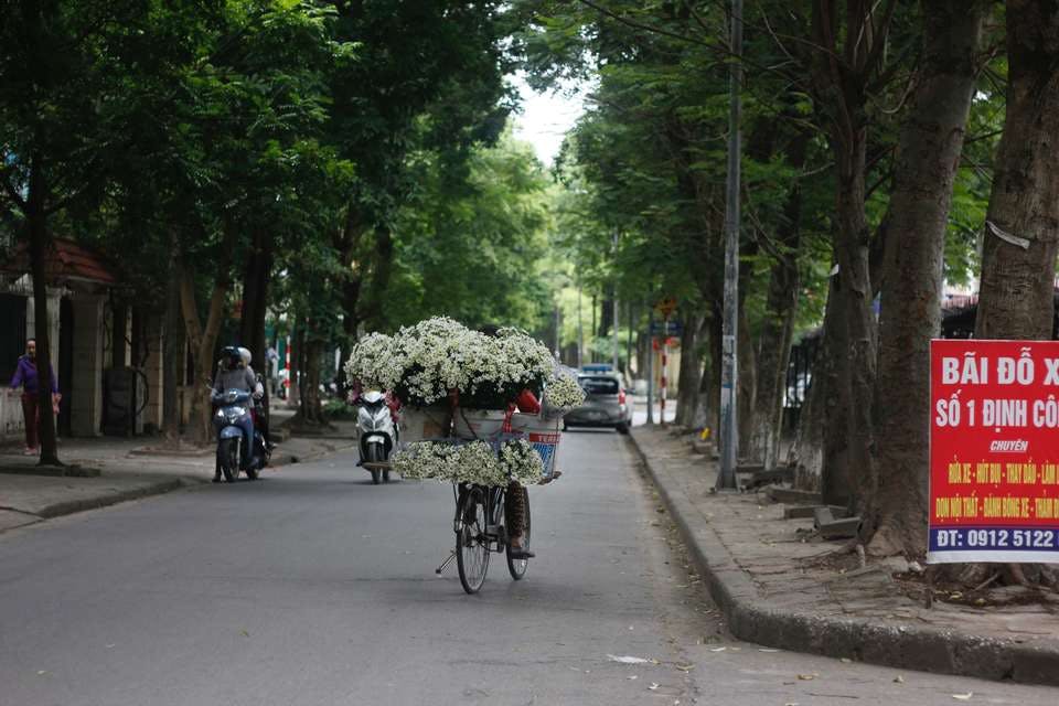 ベトナムの道と風景