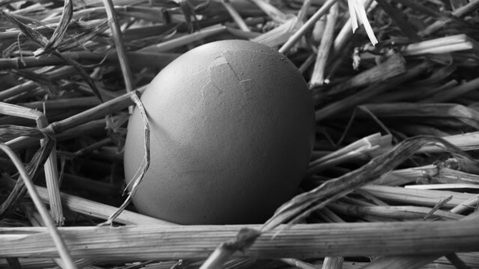Large egg 19854 640 a