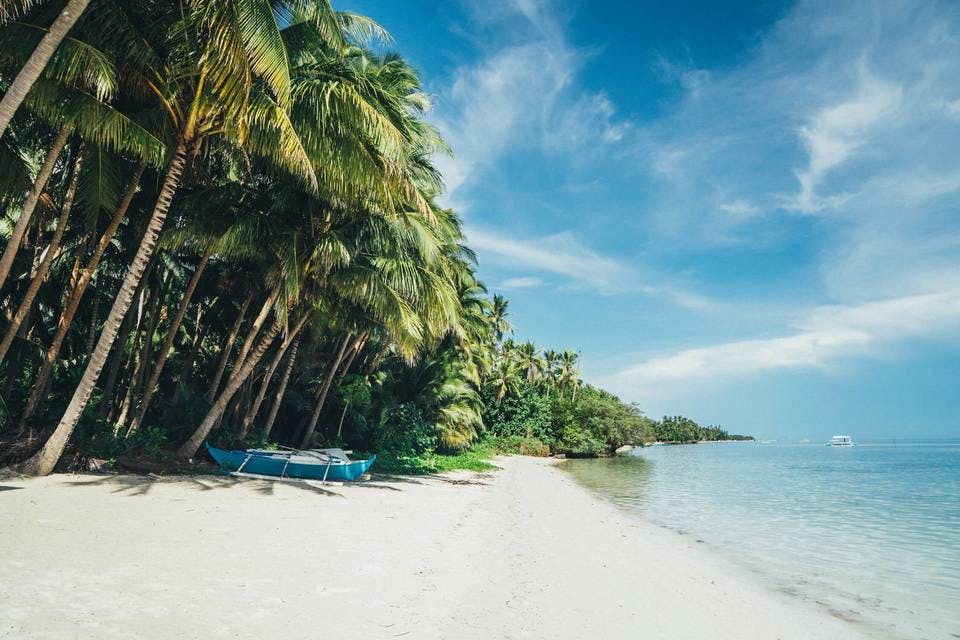 フィリピンビーチとヤシの木