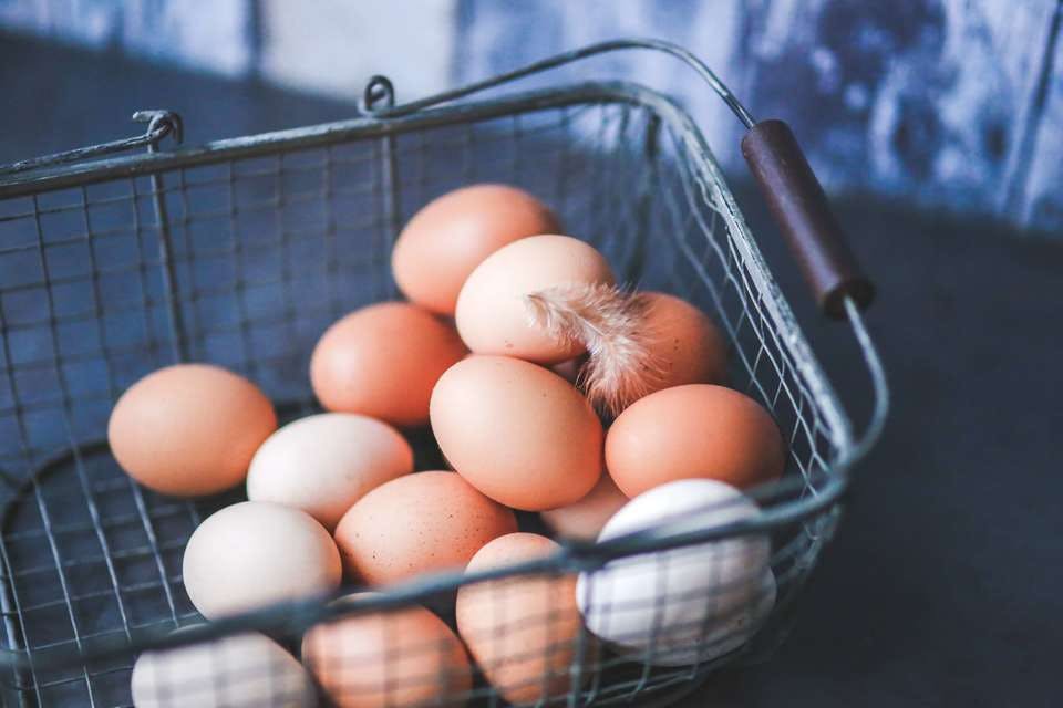 うずらの卵保存アイテム