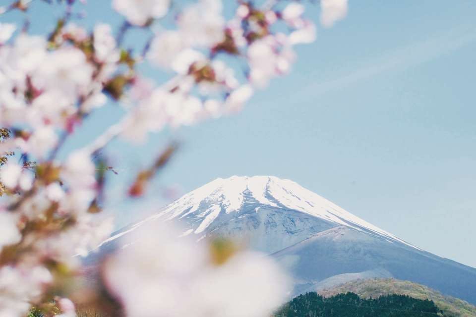 静岡富士