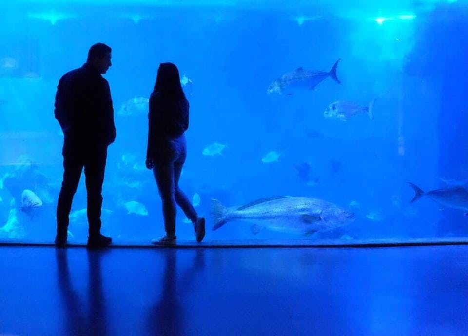 水族館デートするカップル