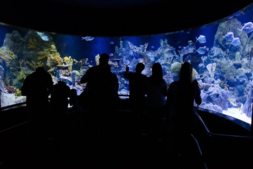カップルに人気の名古屋港水族館デート