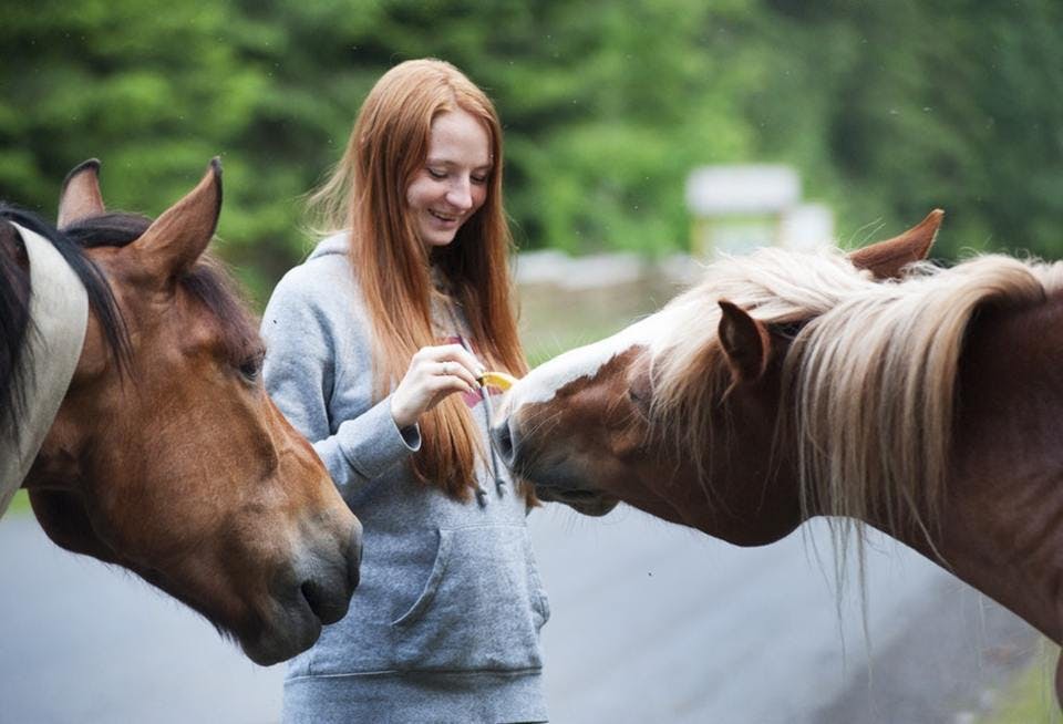馬と遊ぶ動物好きの女性