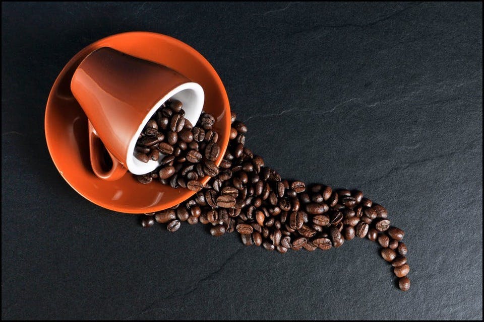 カップ　コーヒー豆