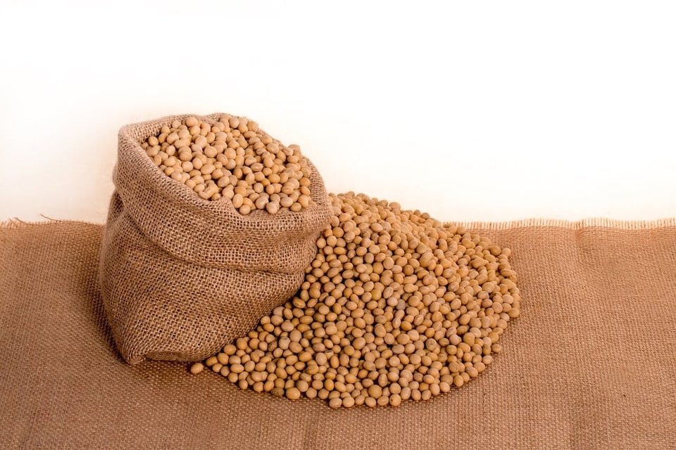 安い食材の大豆