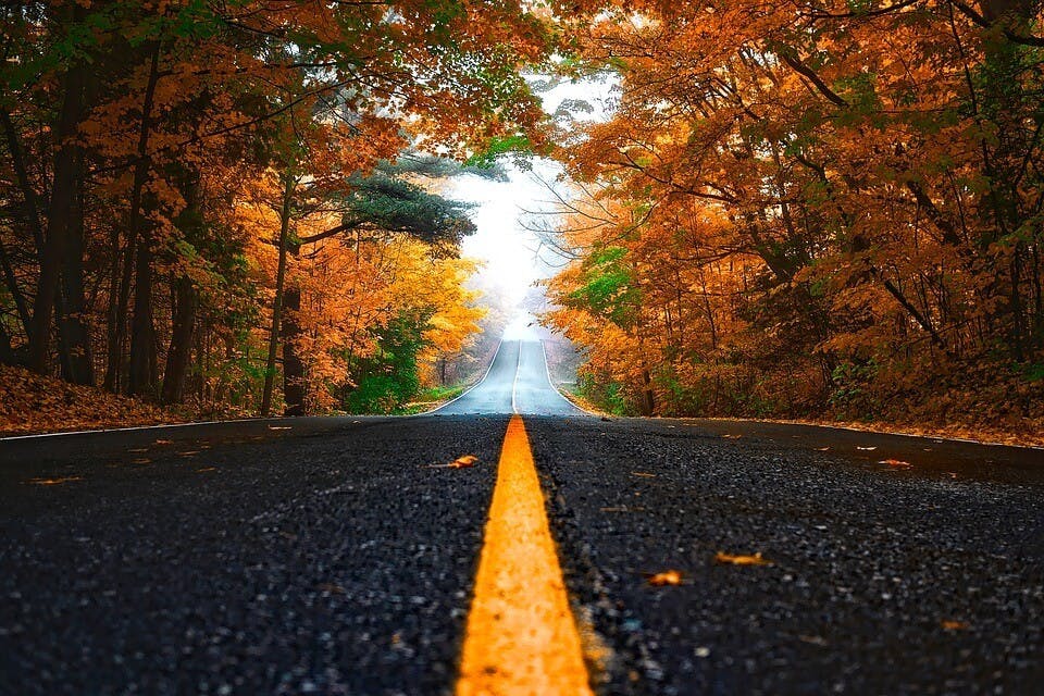 車で全国各地へのひとり旅を楽しもう