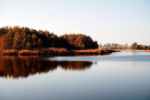 Medium autumn afternoon at the lake