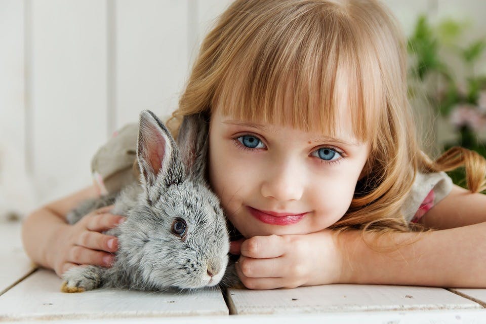 子ウサギと女の子