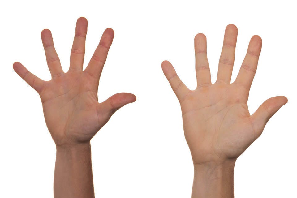 タンブラー乾燥の特徴を言える人が挙げた手