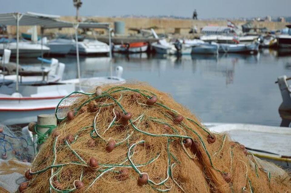 漁港の網