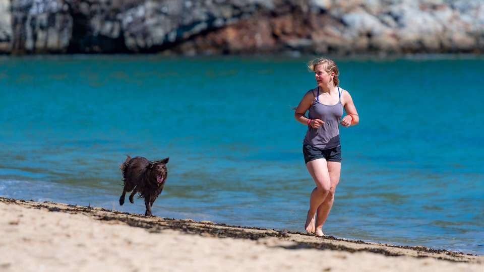 海辺でおしゃれな服装で犬とウォーキングする女性