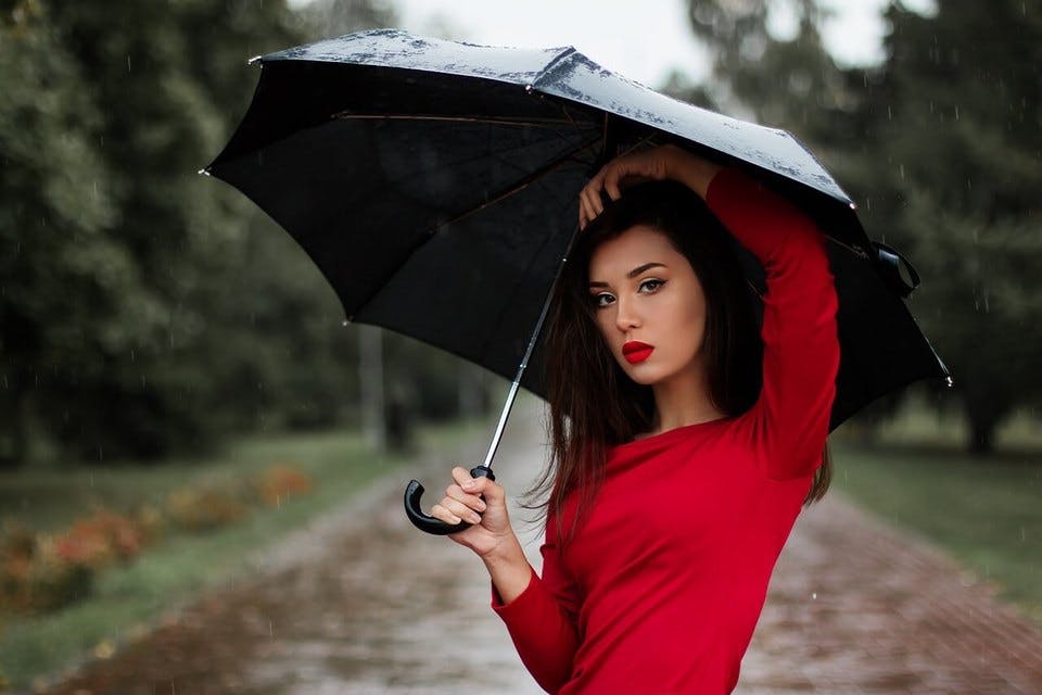 【100均傘】ダイソー・セリア・キャンドゥのおすすめ傘＆傘立て