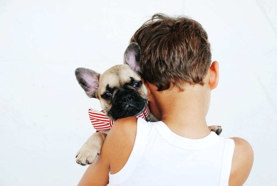 トイレシートを使う犬と子ども