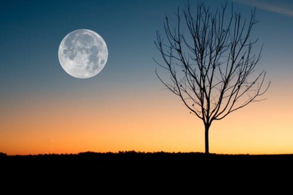 月が綺麗ですねと類語にふさわしい風景
