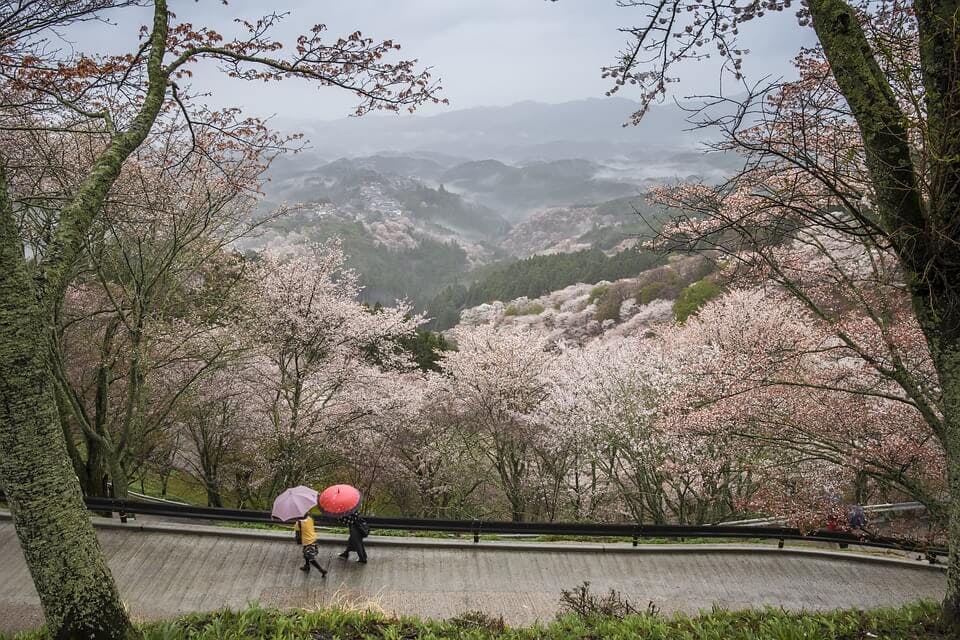 奈良県の穴場観光スポット