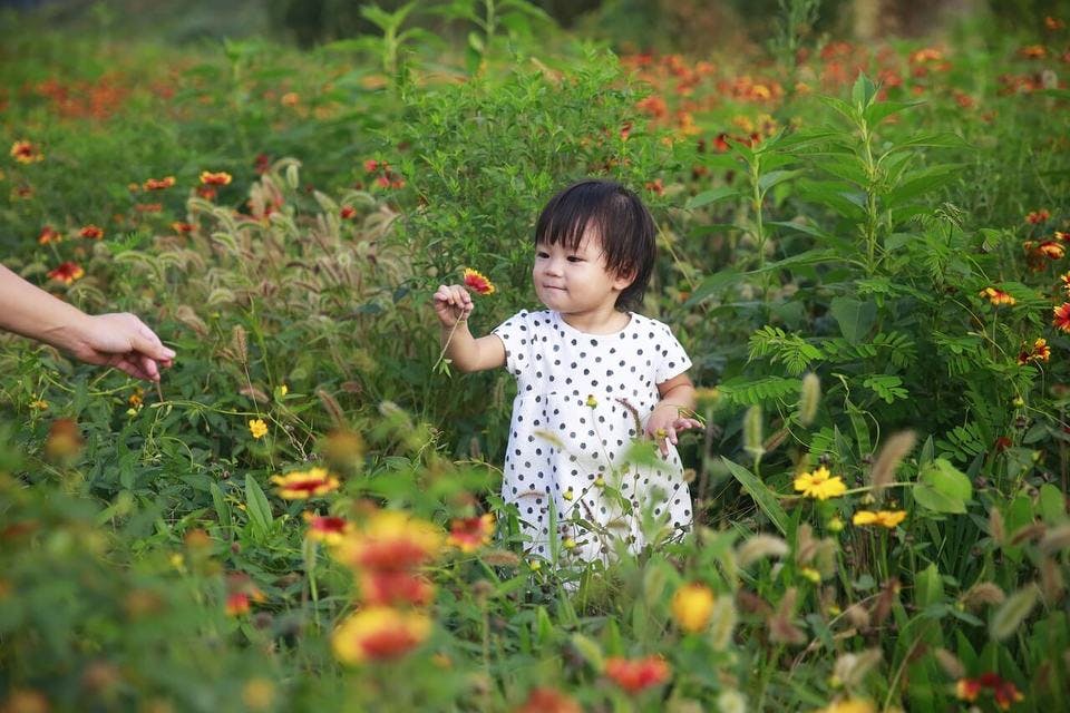 豊川市の公園で遊ぶ子供