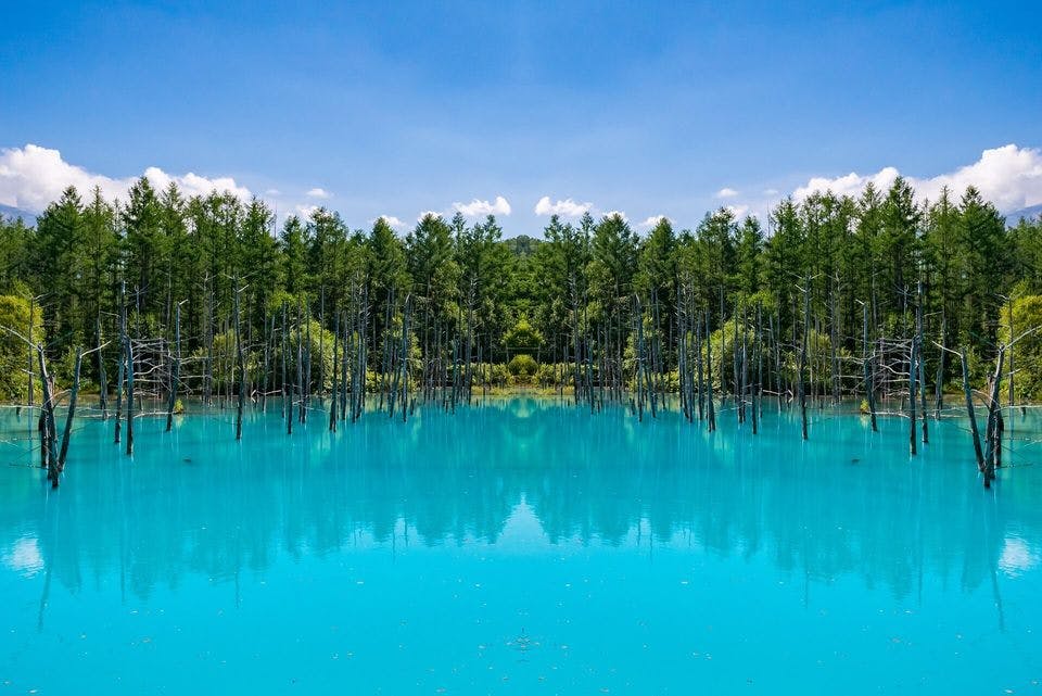 8月の北海道　青い池