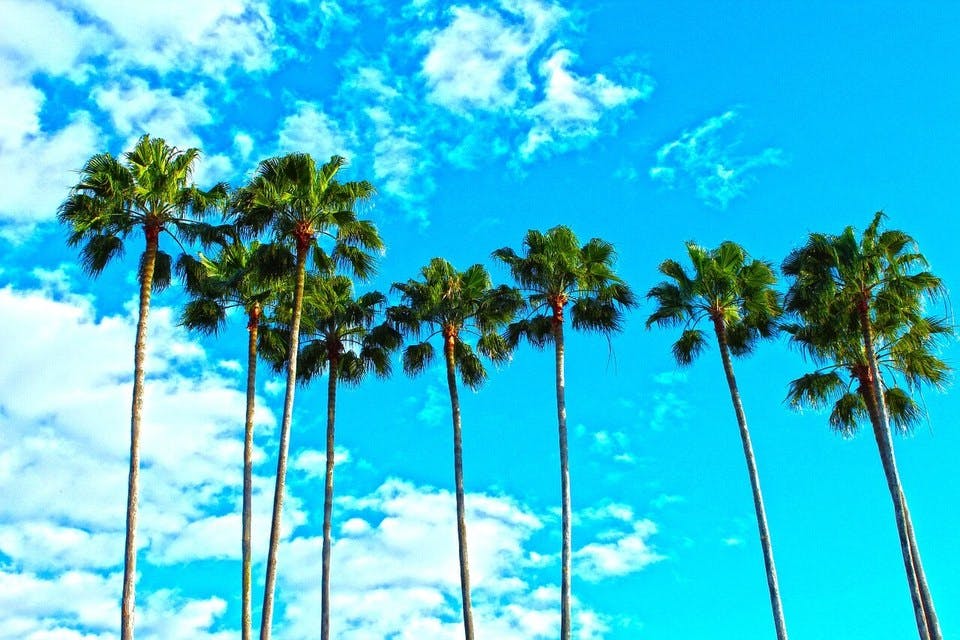フロリダの風景