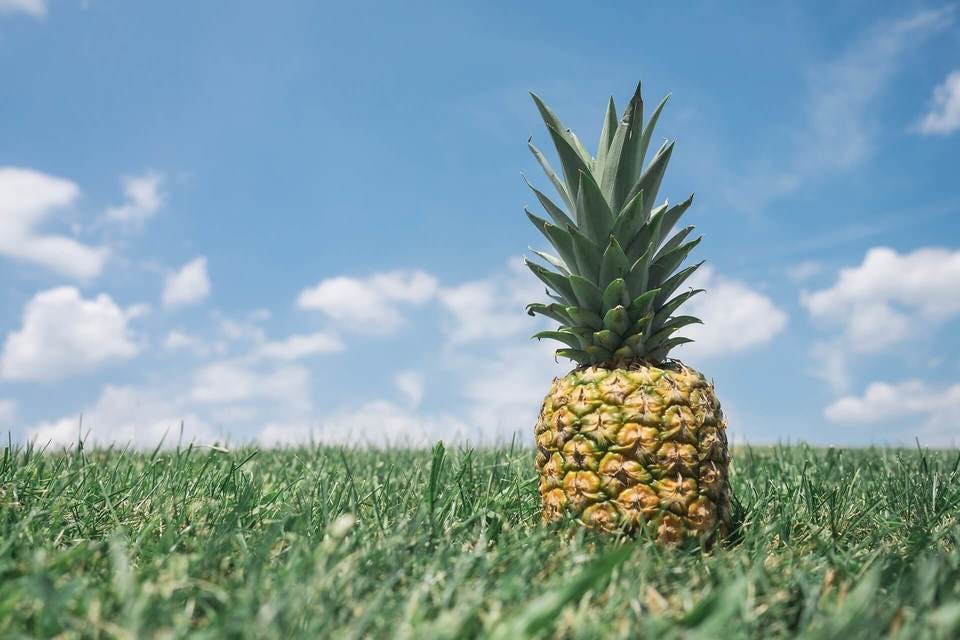 Large pineapple 867245 1920  1 