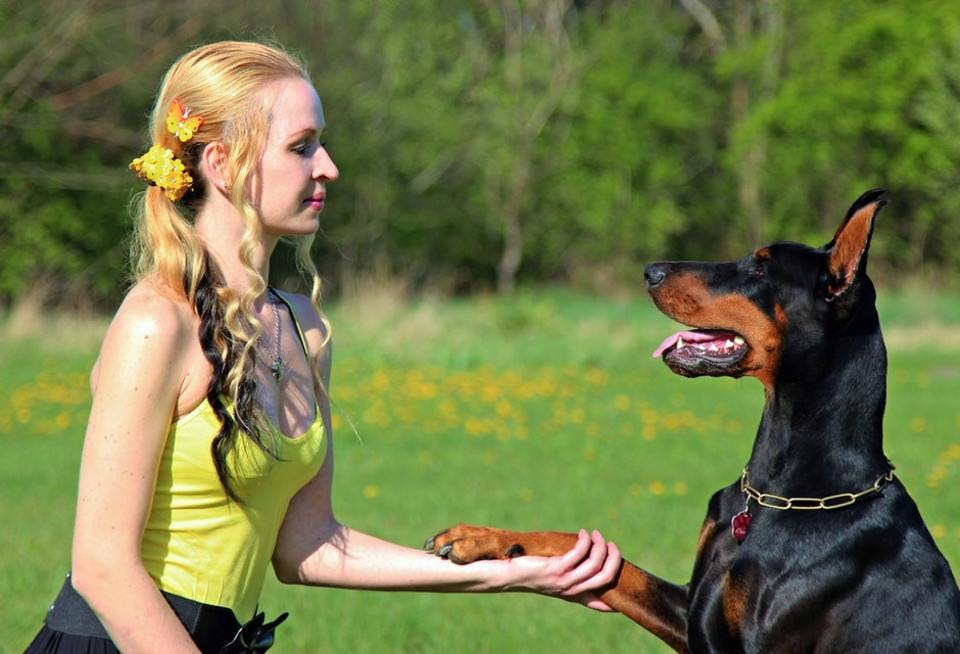 手フェチを診断する女性と犬