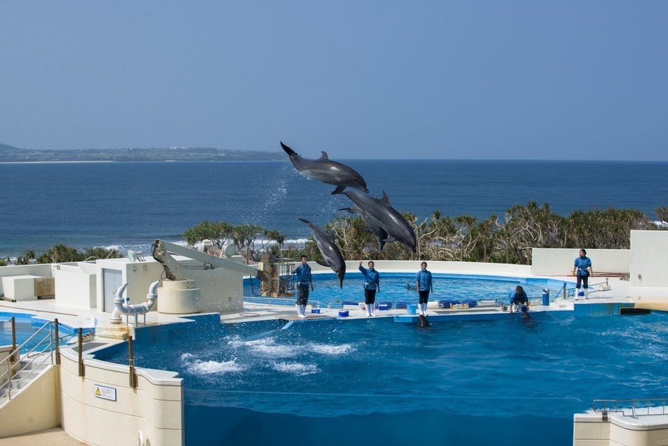 海洋博公園