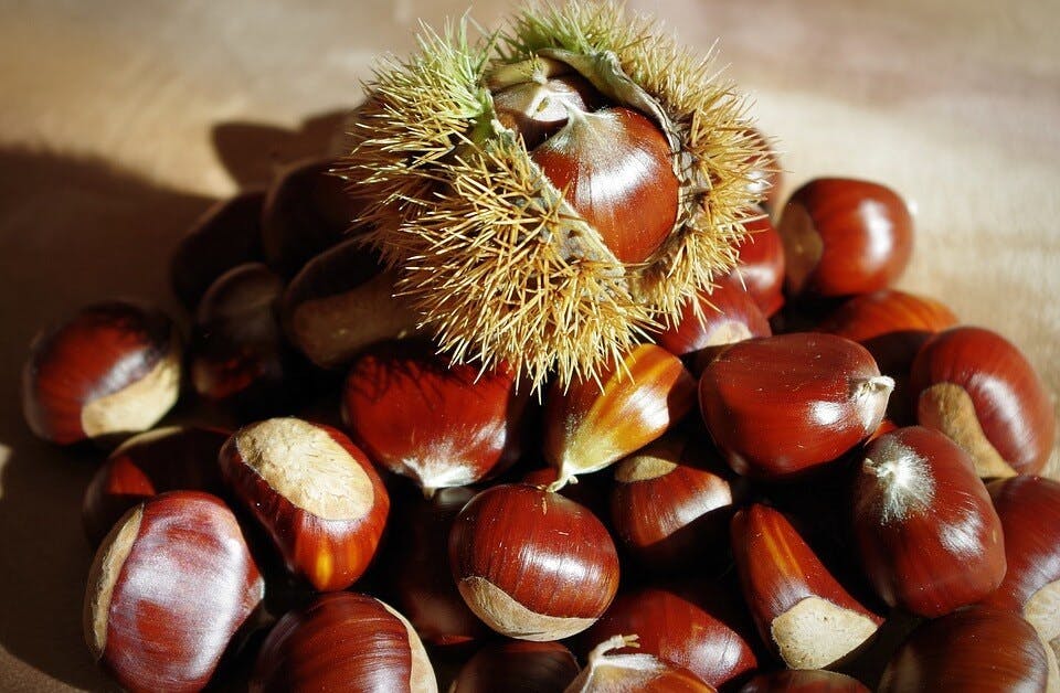 Large sweet chestnuts 3760745 960 720
