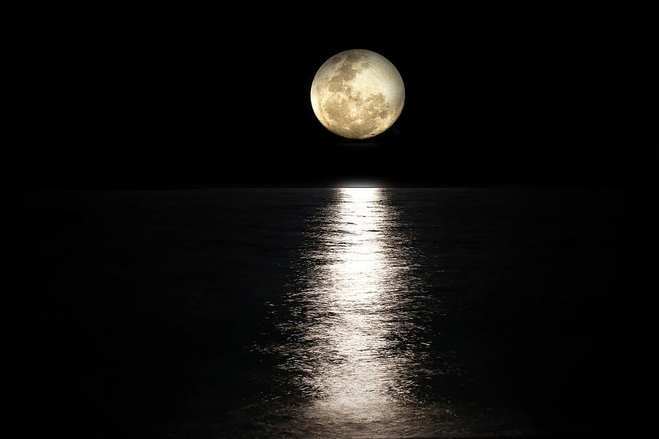 海上の月が綺麗でちなんだ名前にしたい