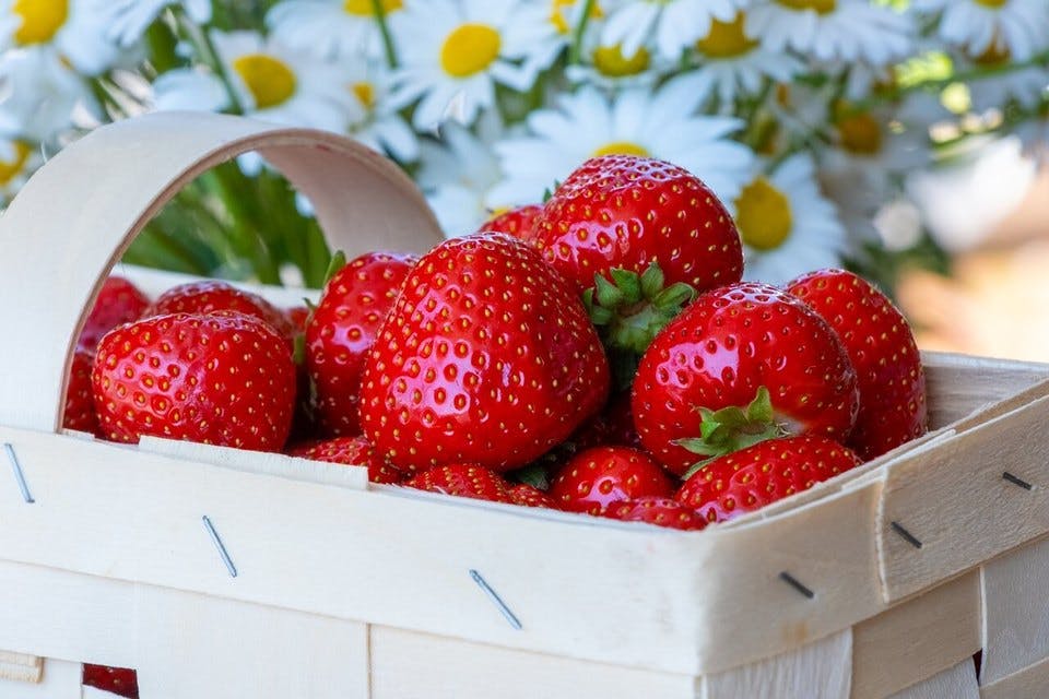 Large strawberries 4255928 1280  1 