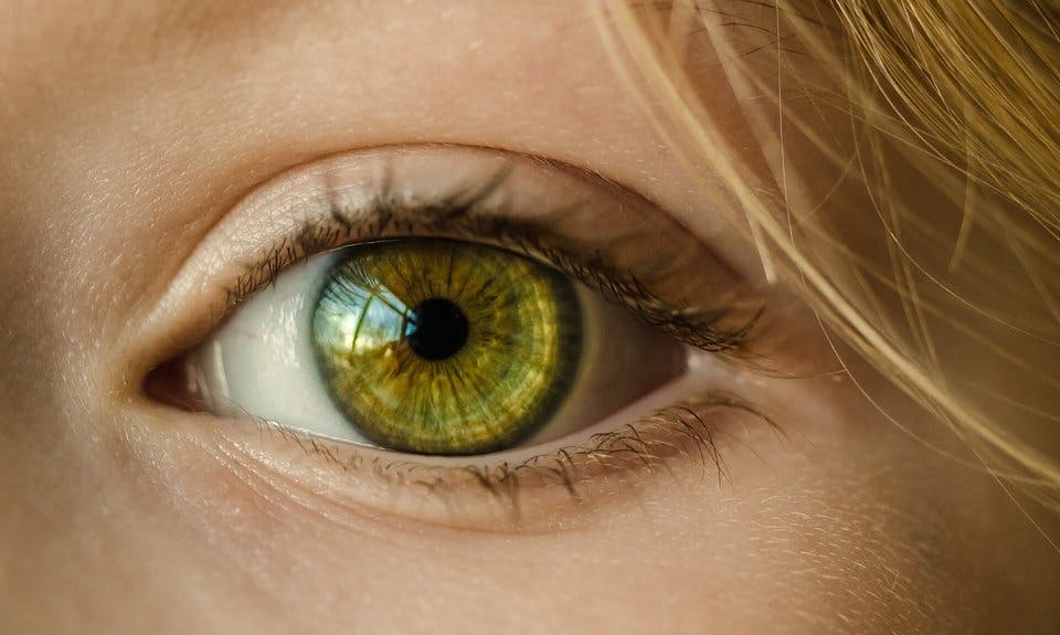 左右の目の大きさが違う女性の目