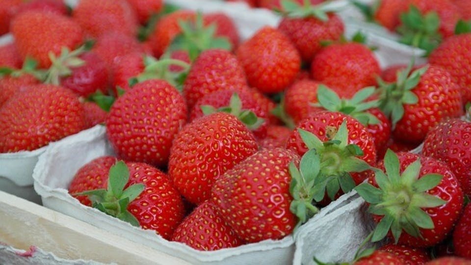 Large strawberries 823782 640  1 