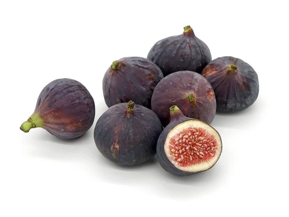 Large fig 1356770 1920  1 