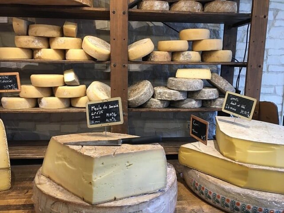 チーズ専門店のチーズ