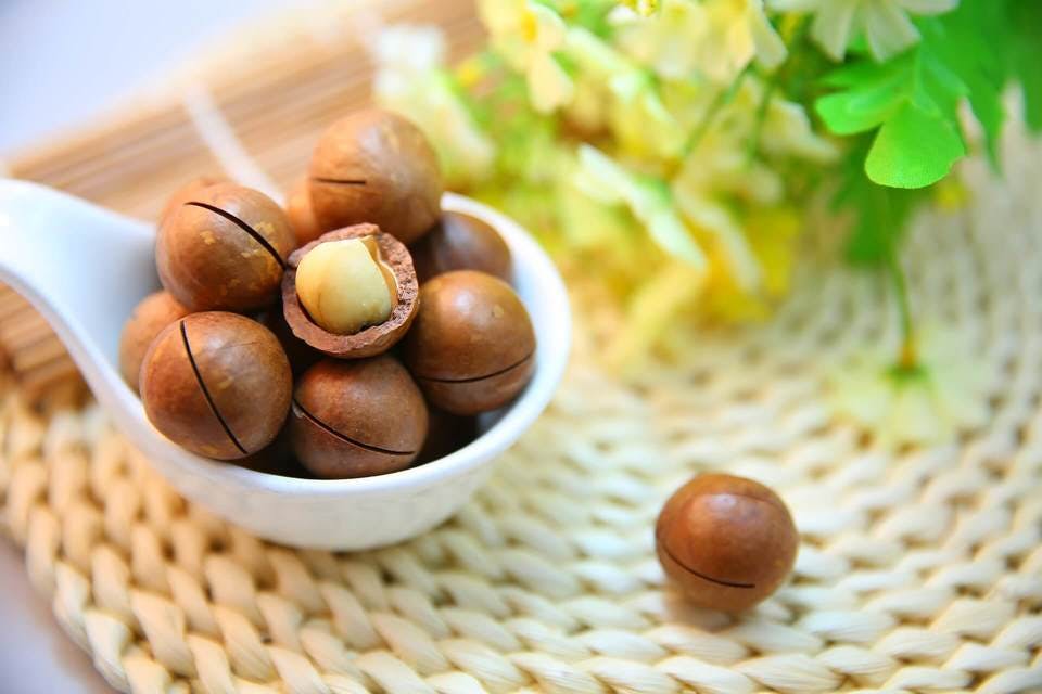 Large macadamia nuts 1098170 1920  1 