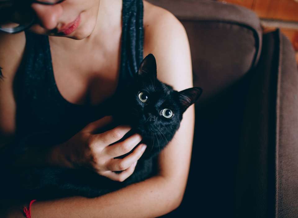 黒猫系彼女