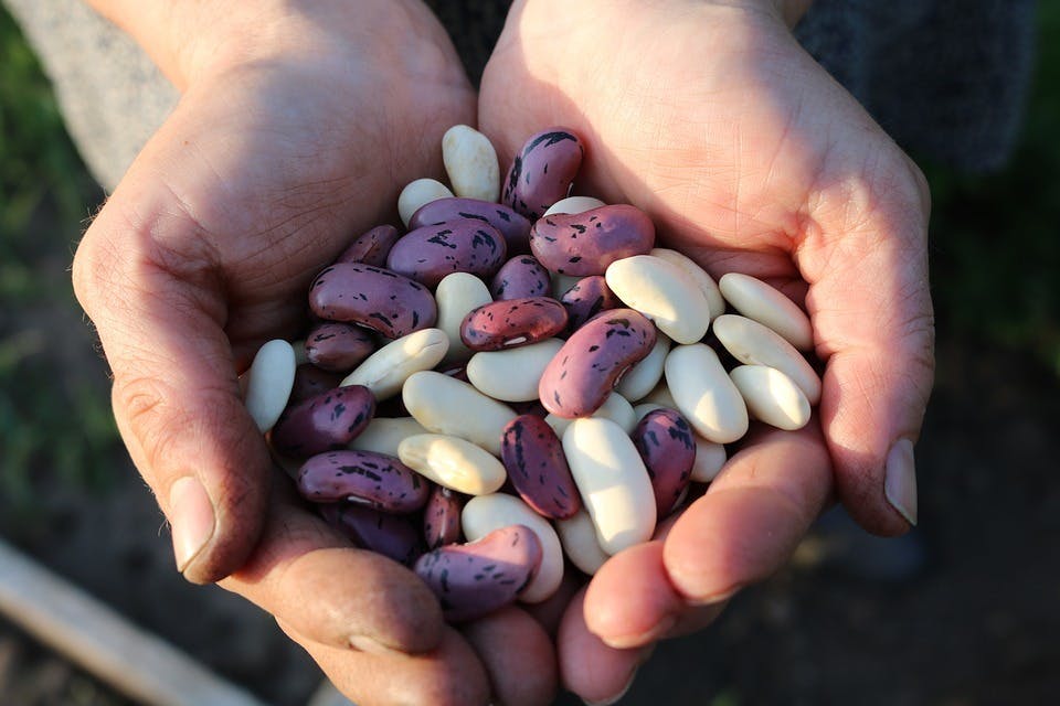 おすすめの納豆の保存方法