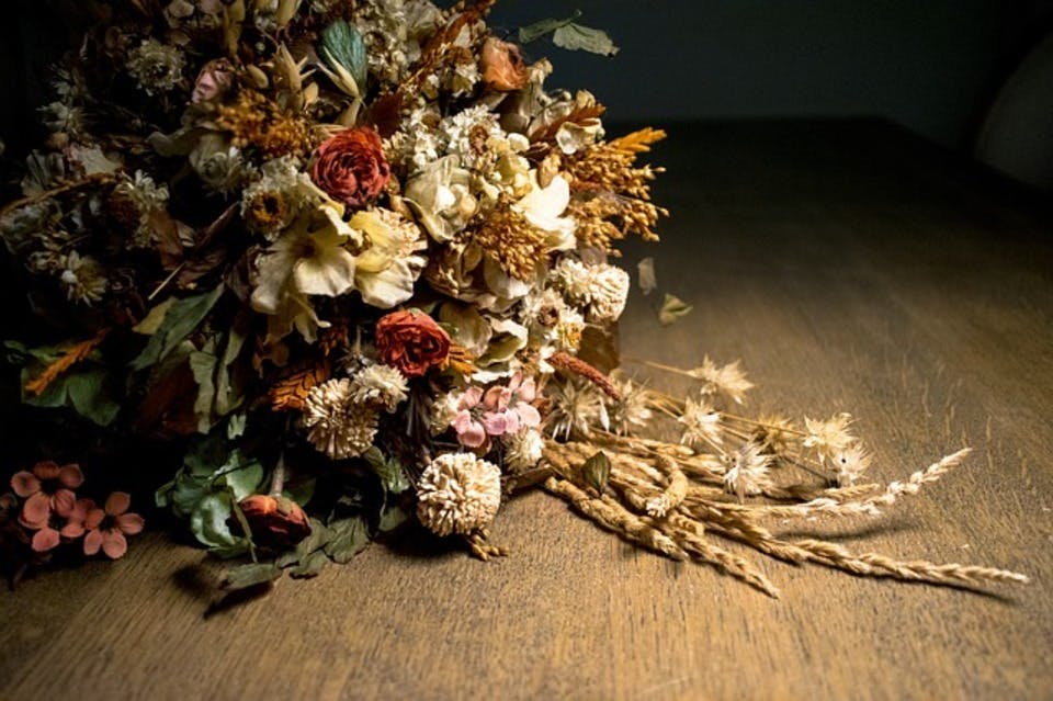 Large dried flowers 1680390 640