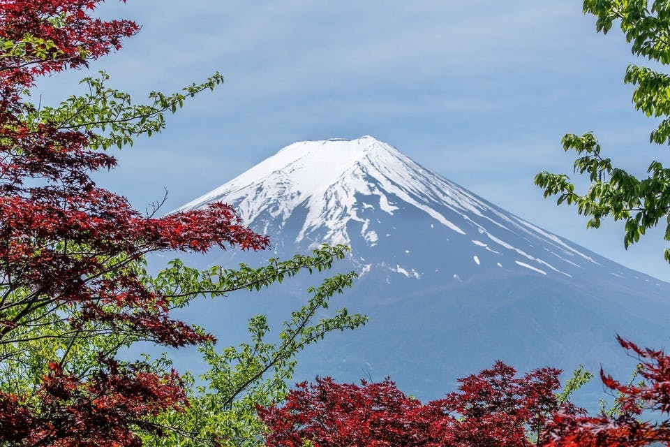 名前に富士山の三文字がつく女の子