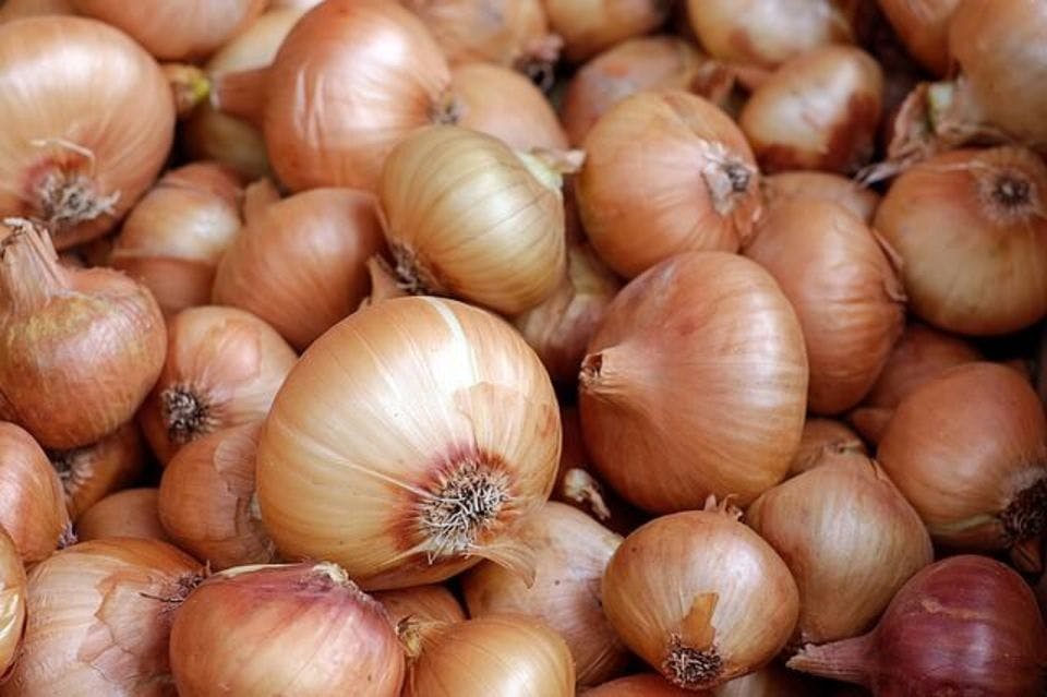 Large onions 57e3dc444a 640  1 