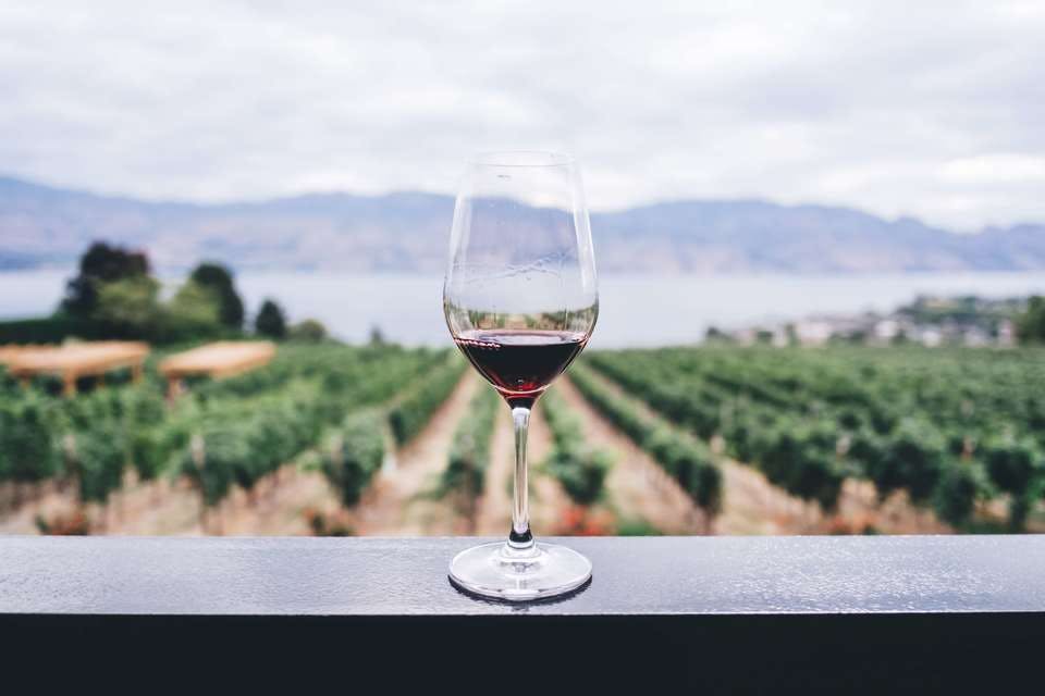 おすすめの赤ワインの特徴