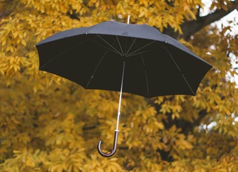 丈夫な傘の特徴画像