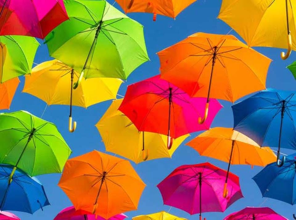 傘の種類画像